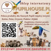 Logo firmy PupilHouse.pl - Artykuły dla zwierząt domowych