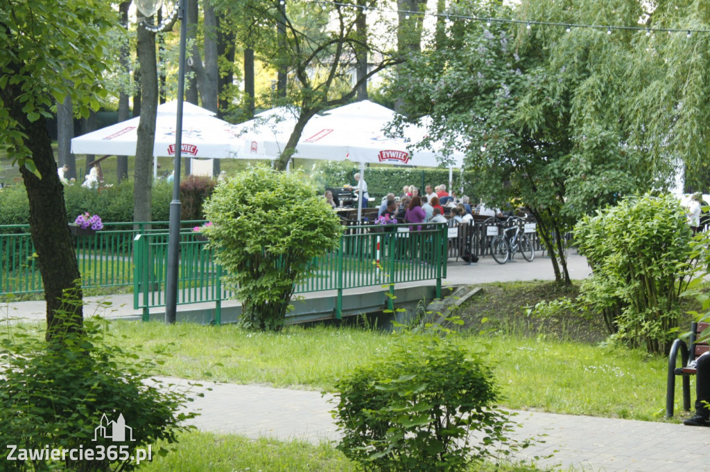 Zielone Zawiercie