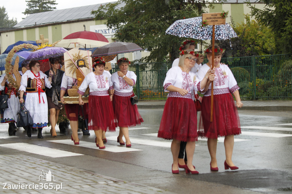XXII Dożynki Powiatowe we Włodowicach