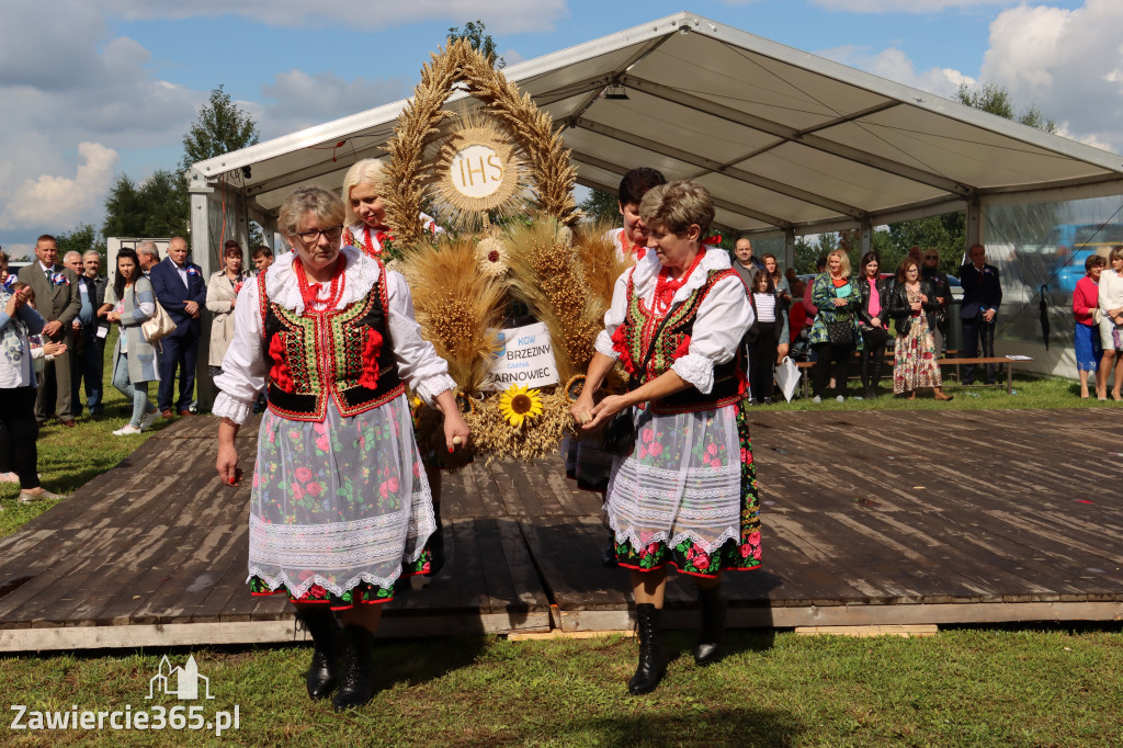 XXII Dożynki Powiatowe we Włodowicach