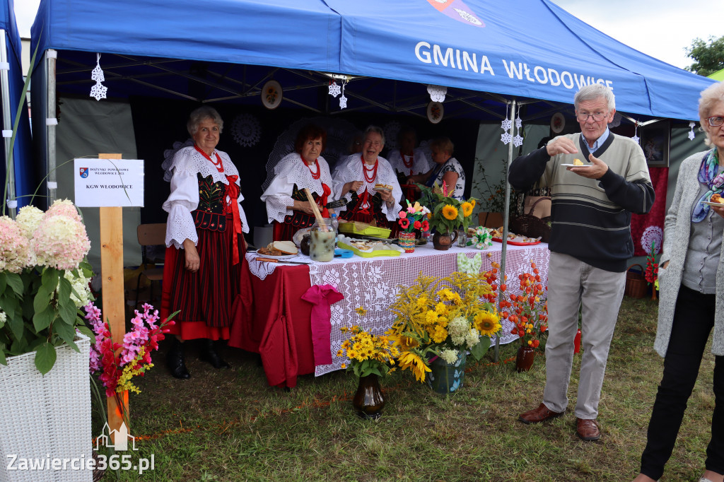 XXII Dożynki Powiatowe we Włodowicach