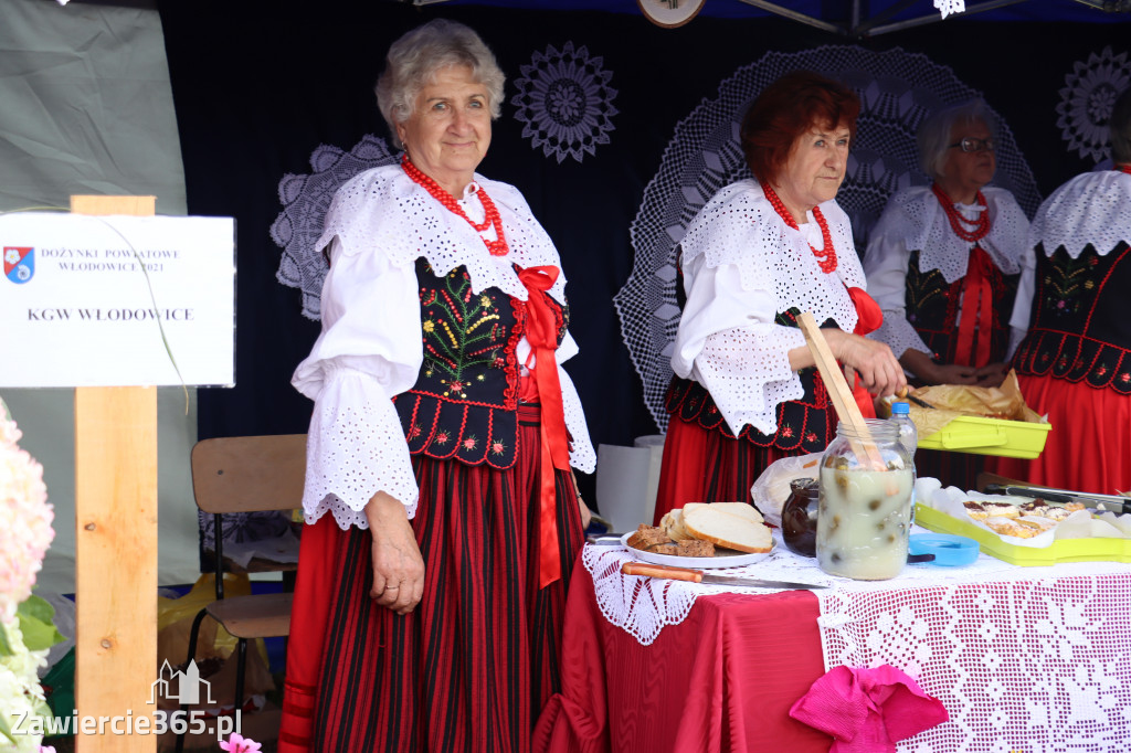 XXII Dożynki Powiatowe we Włodowicach