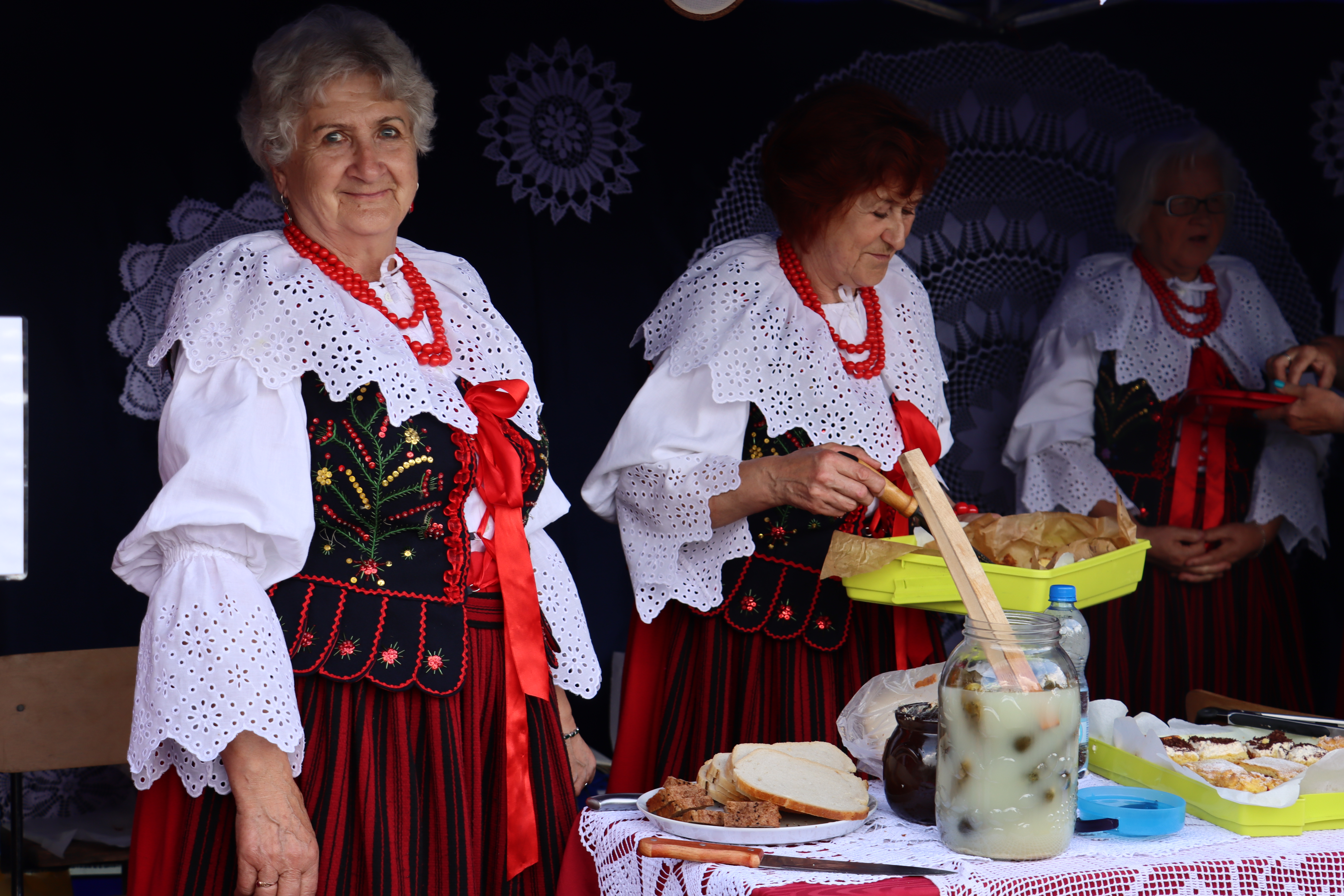 XXII Dożynki Powiatowe we Włodowicach