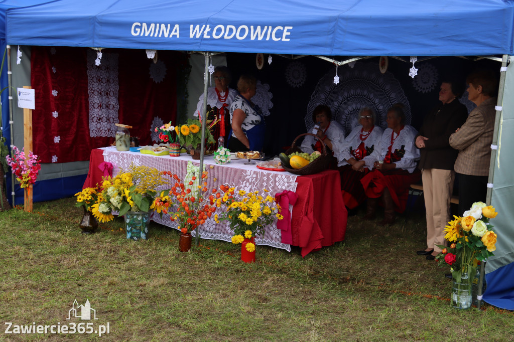 XXII Dożynki Powiatowe we Włodowicach