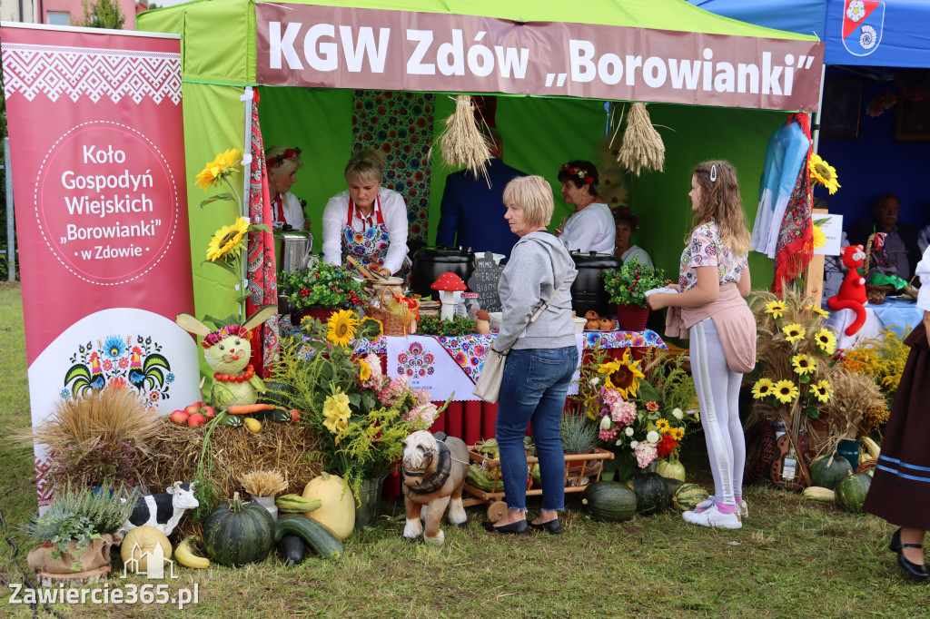 XXII Dożynki Powiatowe we Włodowicach
