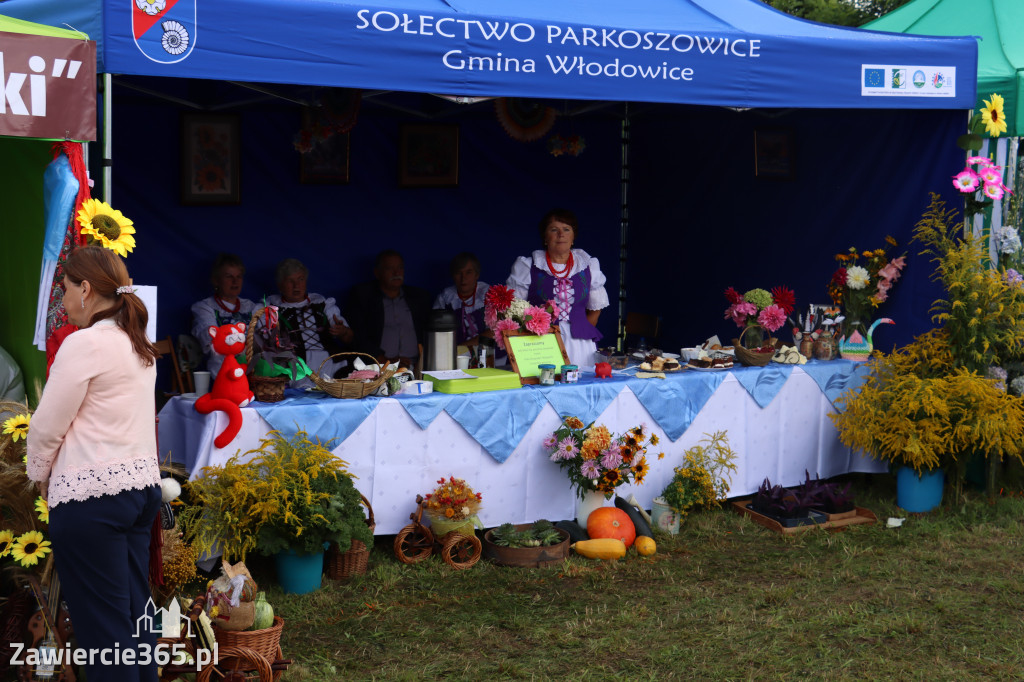 XXII Dożynki Powiatowe we Włodowicach