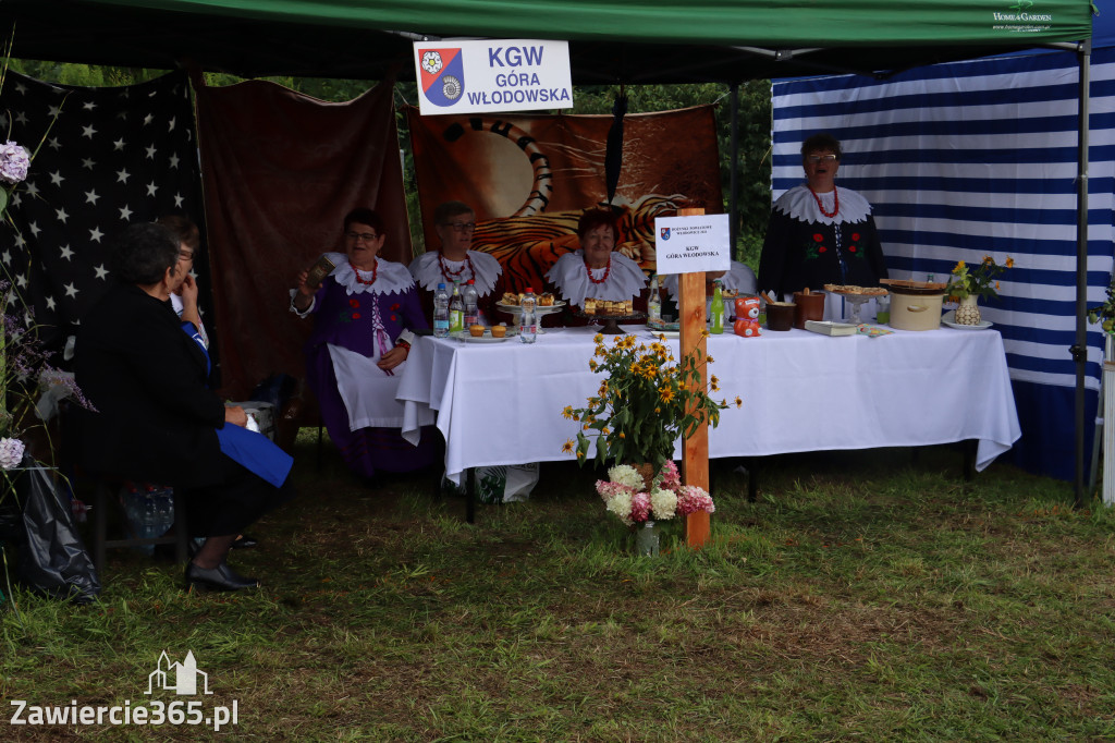 XXII Dożynki Powiatowe we Włodowicach