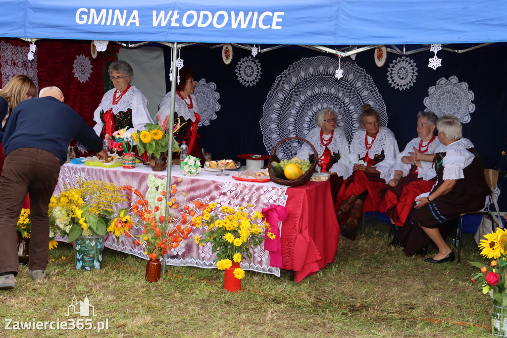 XXII Dożynki Powiatowe we Włodowicach