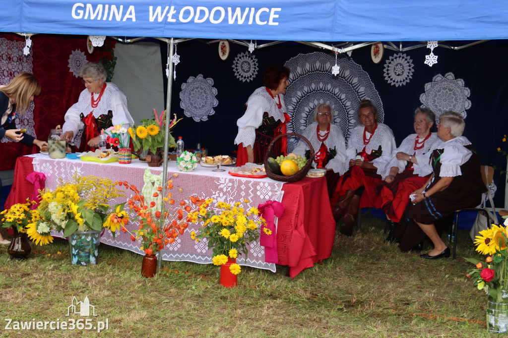 XXII Dożynki Powiatowe we Włodowicach