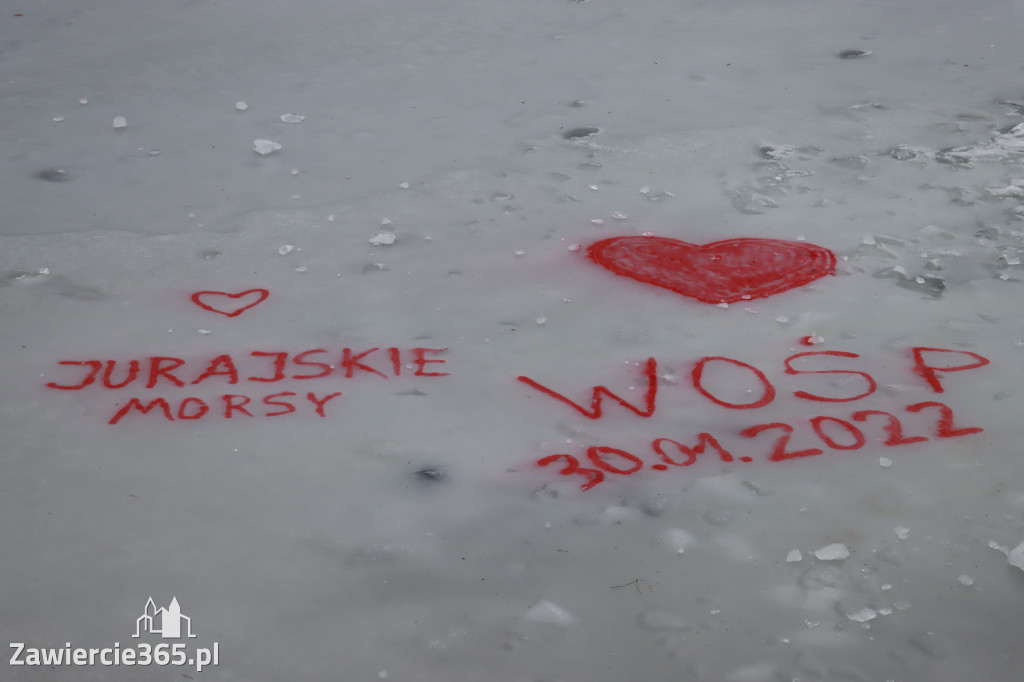 Jurajskie Morsy wpierają WOŚP
