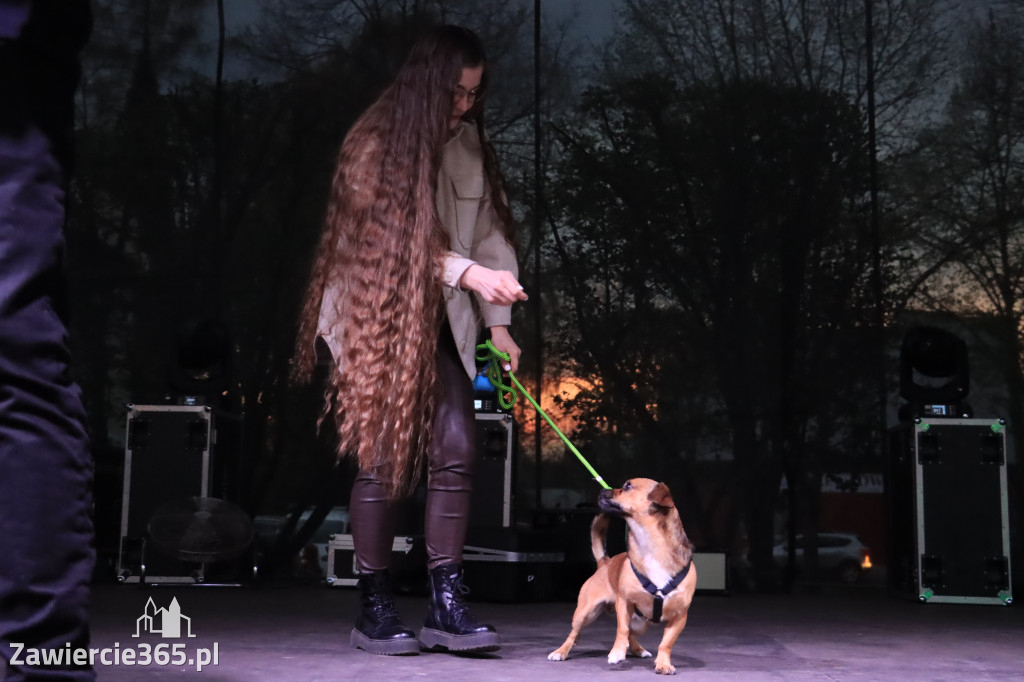 Zawierciańska Majówka 2022  Festiwal Kolorów z Koloversi, Łobuzy, Borys LBD