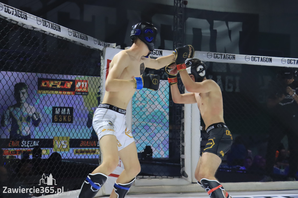 Za nami Gala Octagon Fight League 11 zdjęcia część 1 Zapraszamy do oglądania