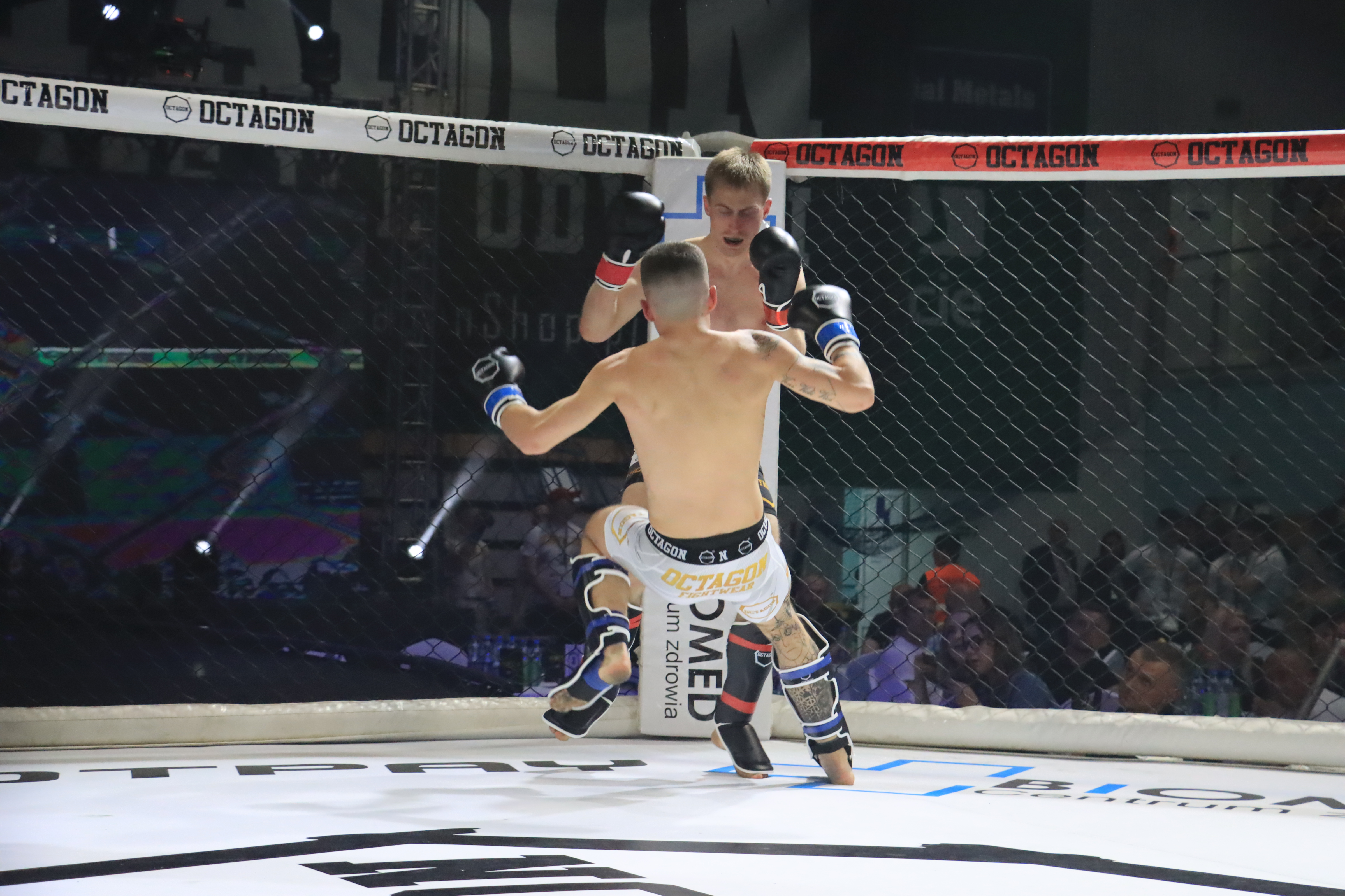 Za nami Gala Octagon Fight League 11 zdjęcia część 1 Zapraszamy do oglądania