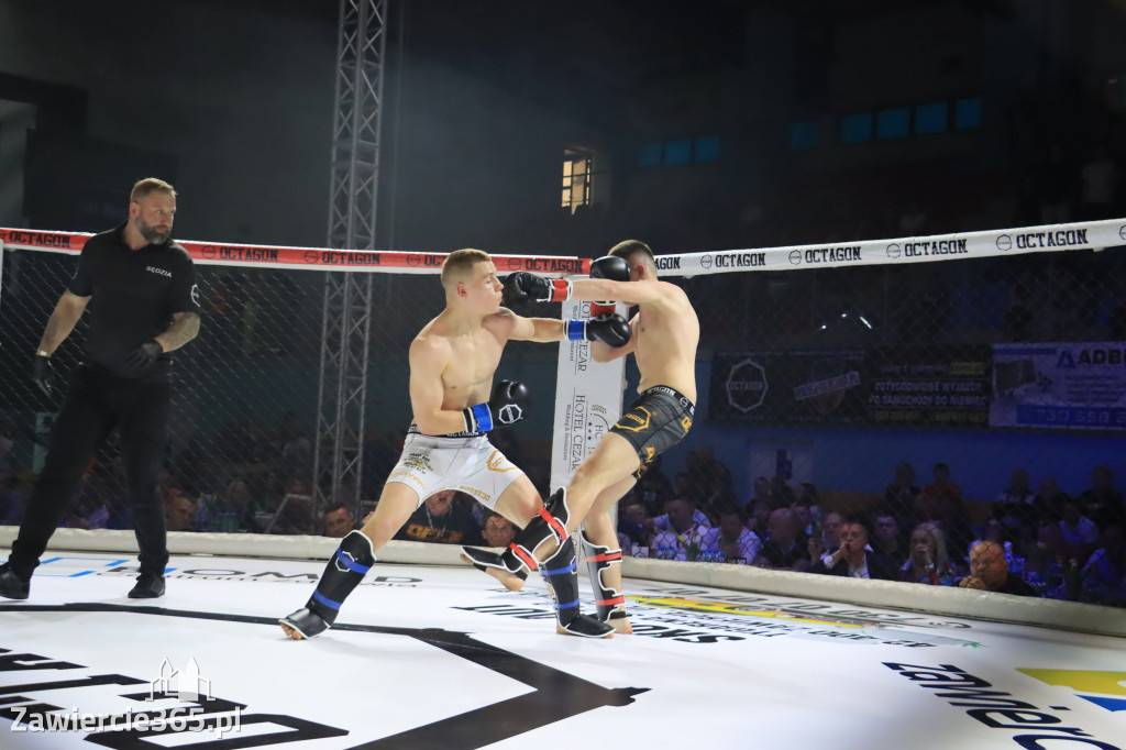 Za nami Gala Octagon Fight League 11 zdjęcia część 1 Zapraszamy do oglądania