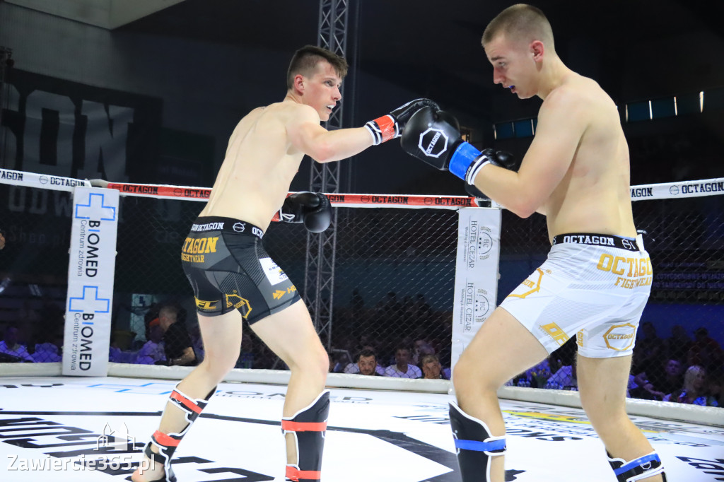 Za nami Gala Octagon Fight League 11 zdjęcia część 1 Zapraszamy do oglądania