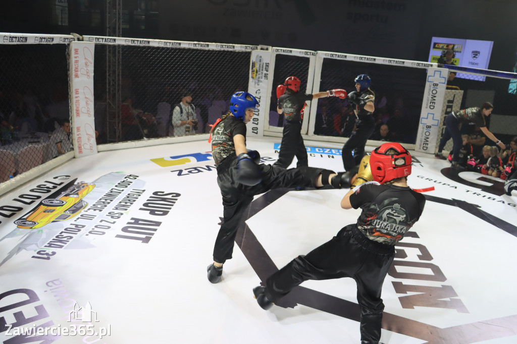 Za nami Gala Octagon Fight League 11 zdjęcia część 1 Zapraszamy do oglądania