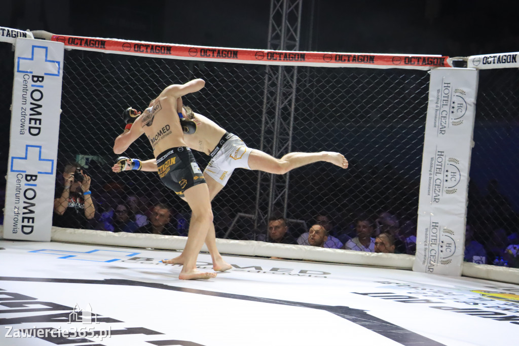 Za nami Gala Octagon Fight League 11 zdjęcia część 1 Zapraszamy do oglądania