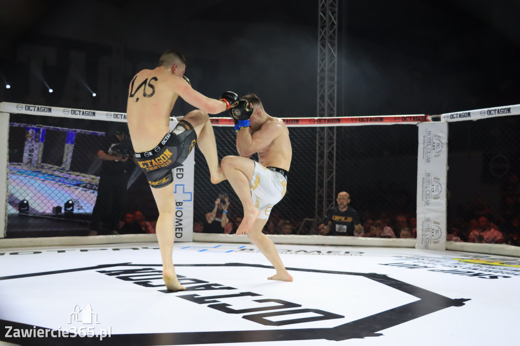 Gala Octagon Fight League 11 zdjęcia z niej! część 2
