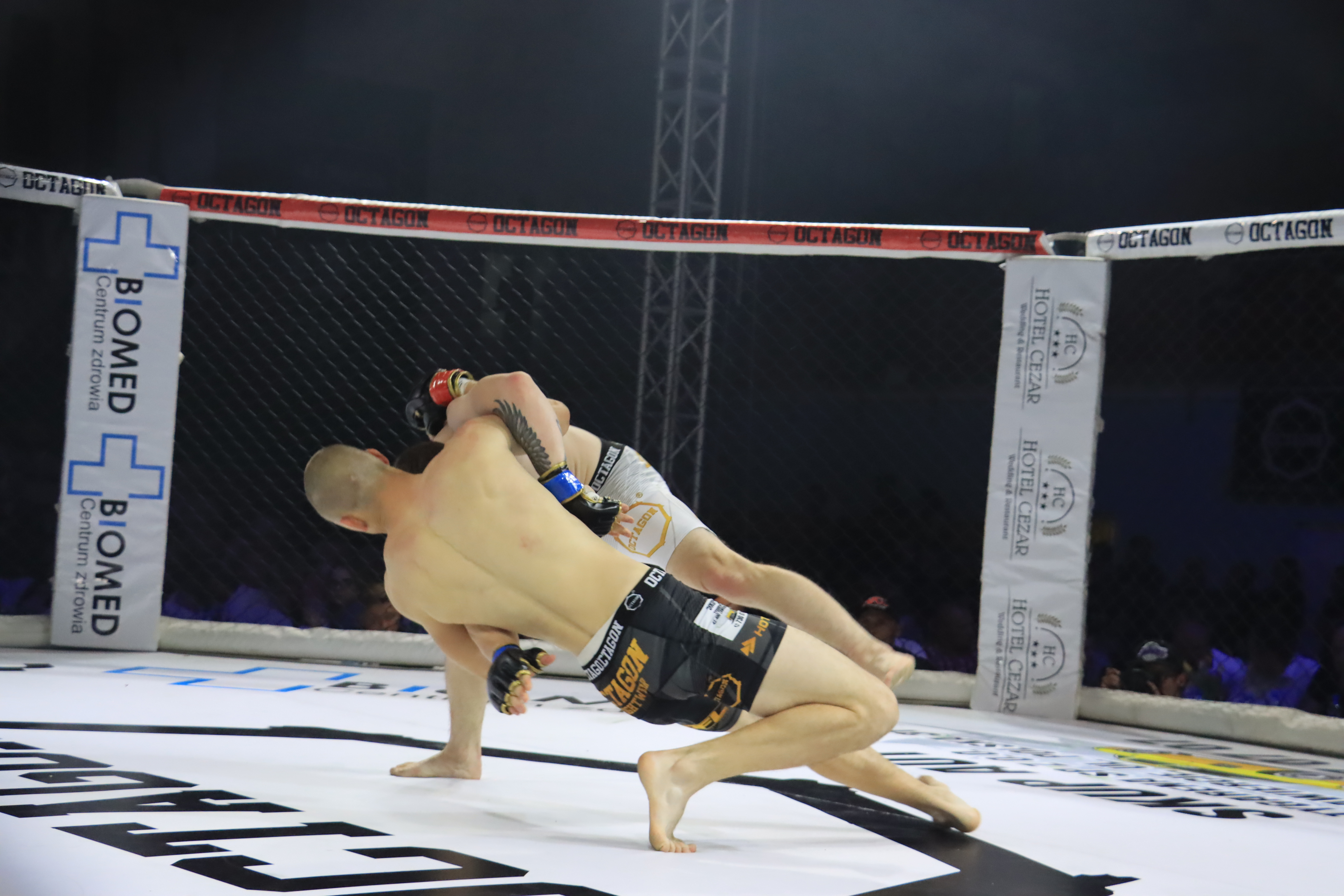 Gala Octagon Fight League 11 zdjęcia z niej! część 2