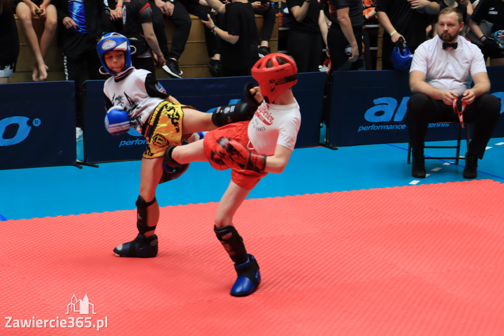 Mistrzostwa Polski kickboxingu