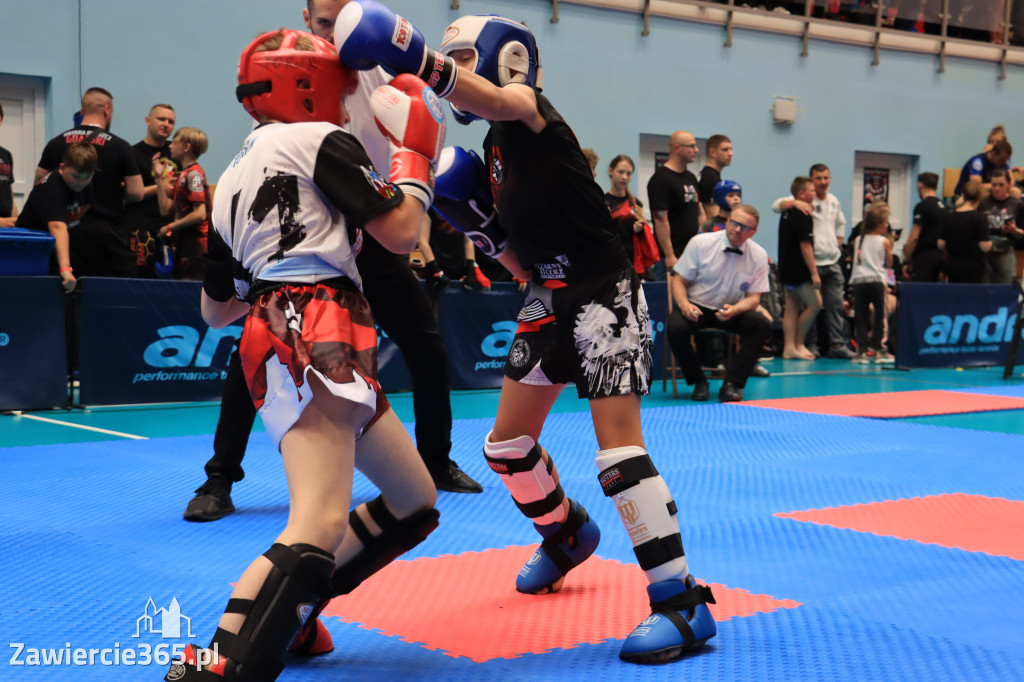 Mistrzostwa Polski kickboxingu