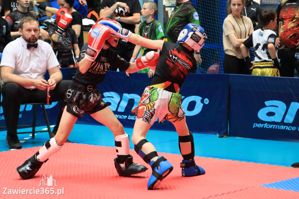 Mistrzostwa Polski kickboxingu