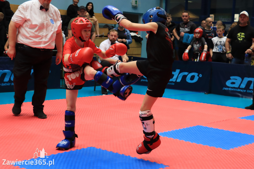 Mistrzostwa Polski kickboxingu