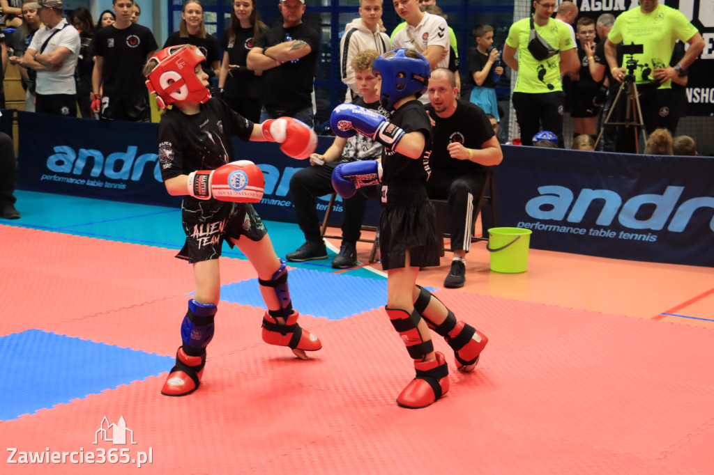 Mistrzostwa Polski kickboxingu