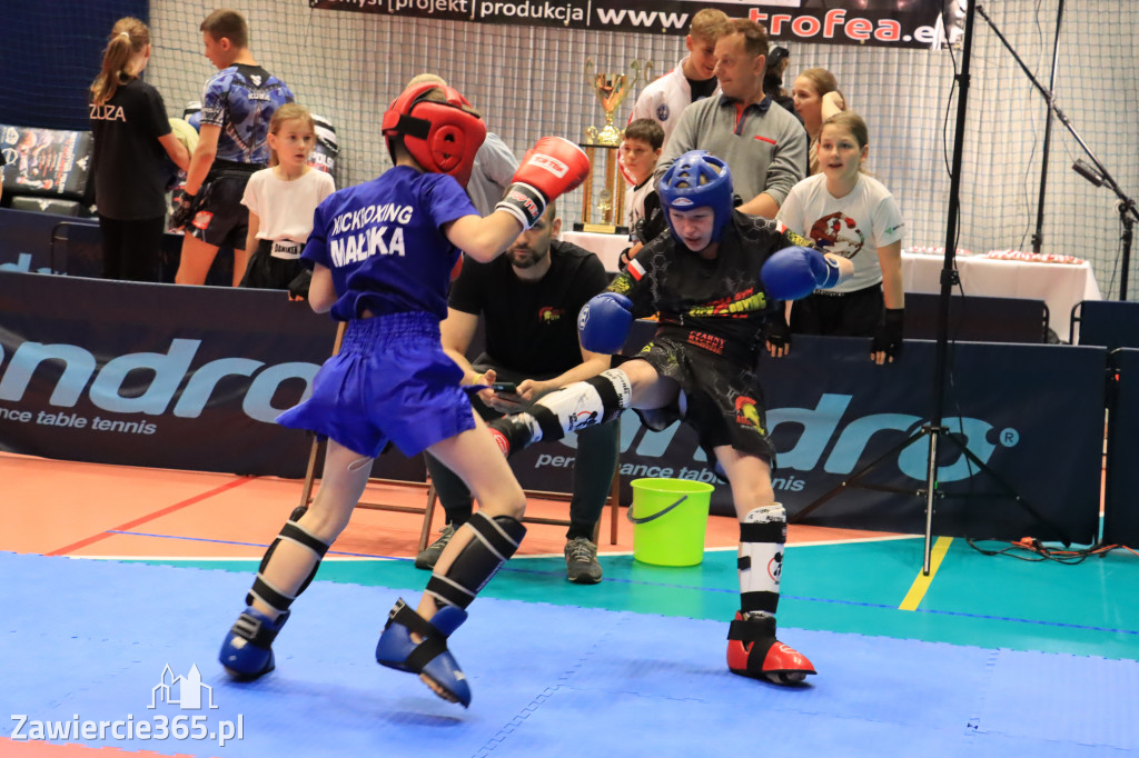 Mistrzostwa Polski kickboxingu
