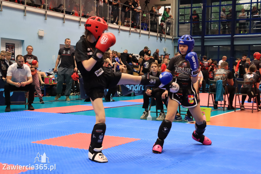 Mistrzostwa Polski kickboxingu
