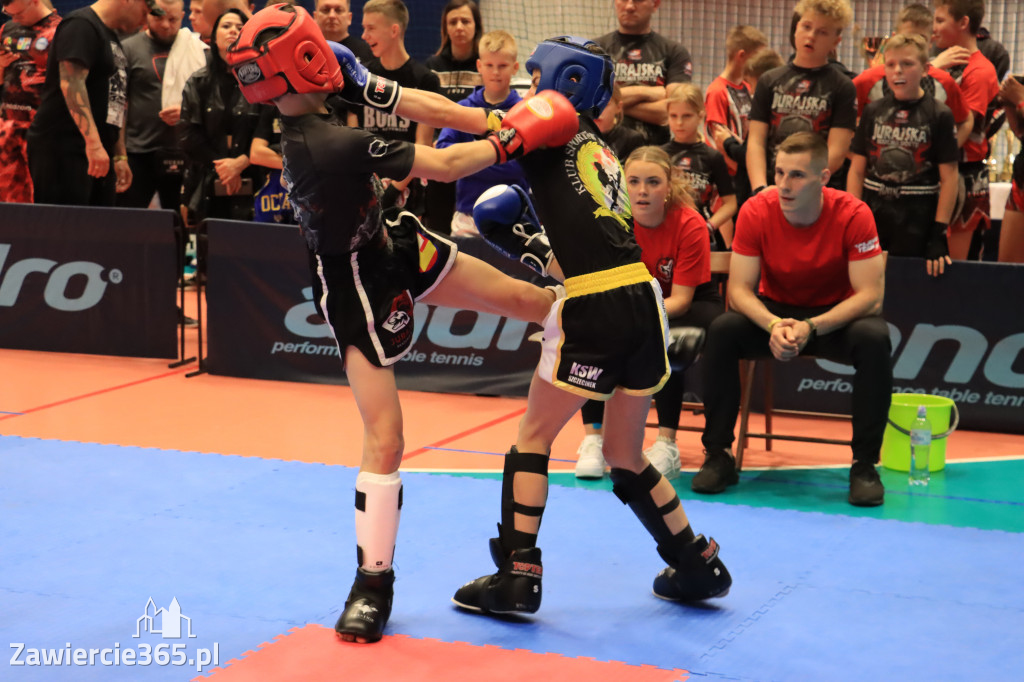 Mistrzostwa Polski kickboxingu