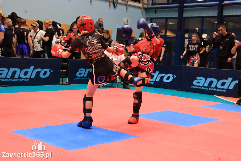 Mistrzostwa Polski kickboxingu