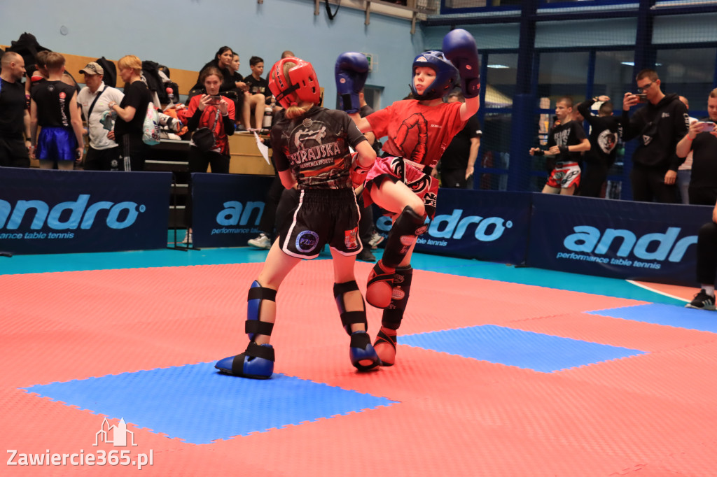 Mistrzostwa Polski kickboxingu
