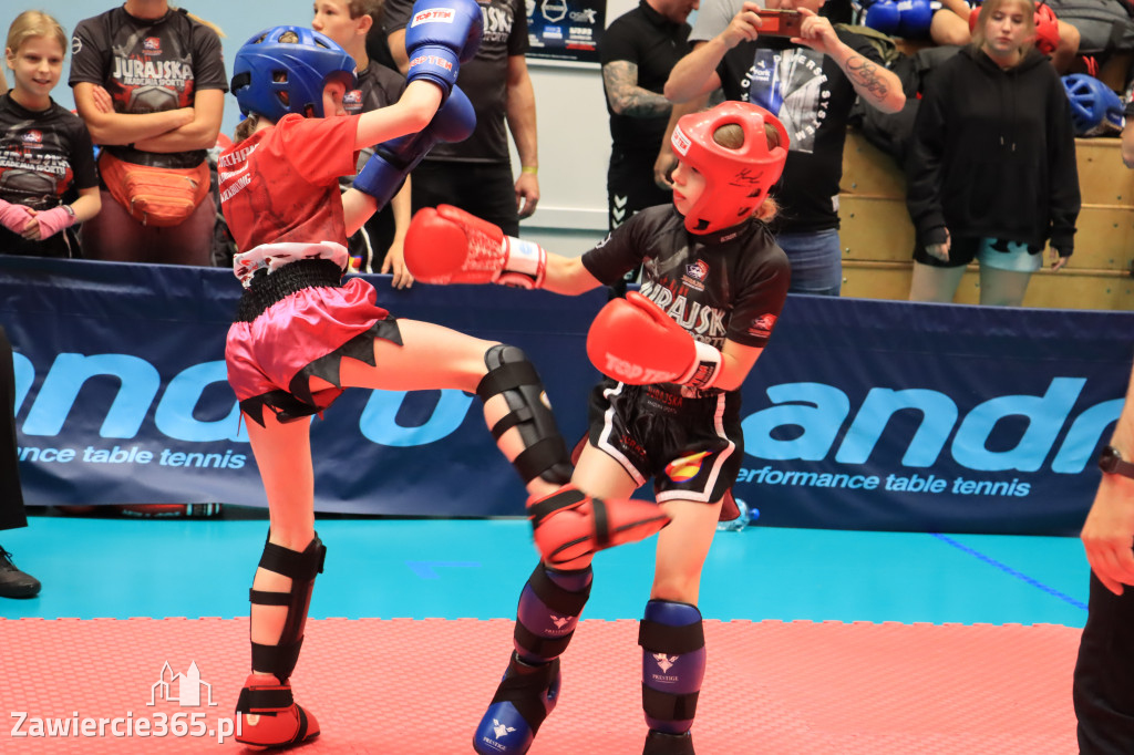 Mistrzostwa Polski kickboxingu
