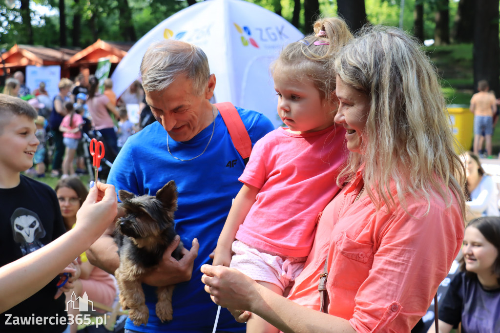 Piknik Ekologiczny w Zawierciu i koncert Dawida Artysty