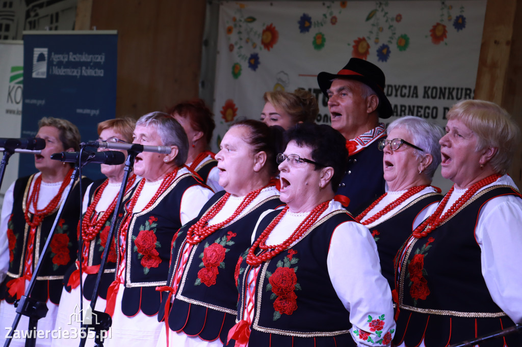 Szczekociny - Bitwa Regionów