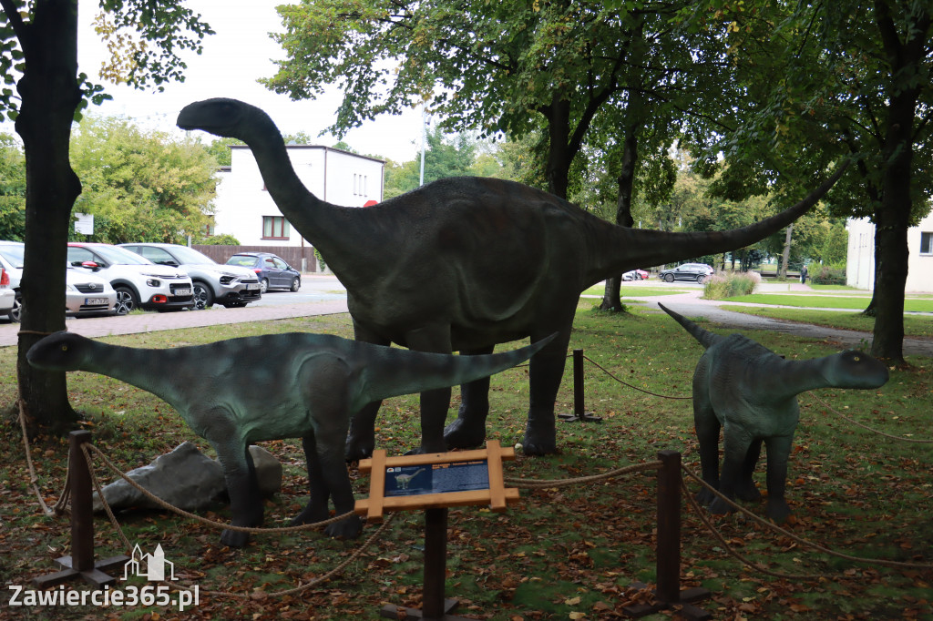 Wystawa Dinozaurów - Park Miejski Zawiercie