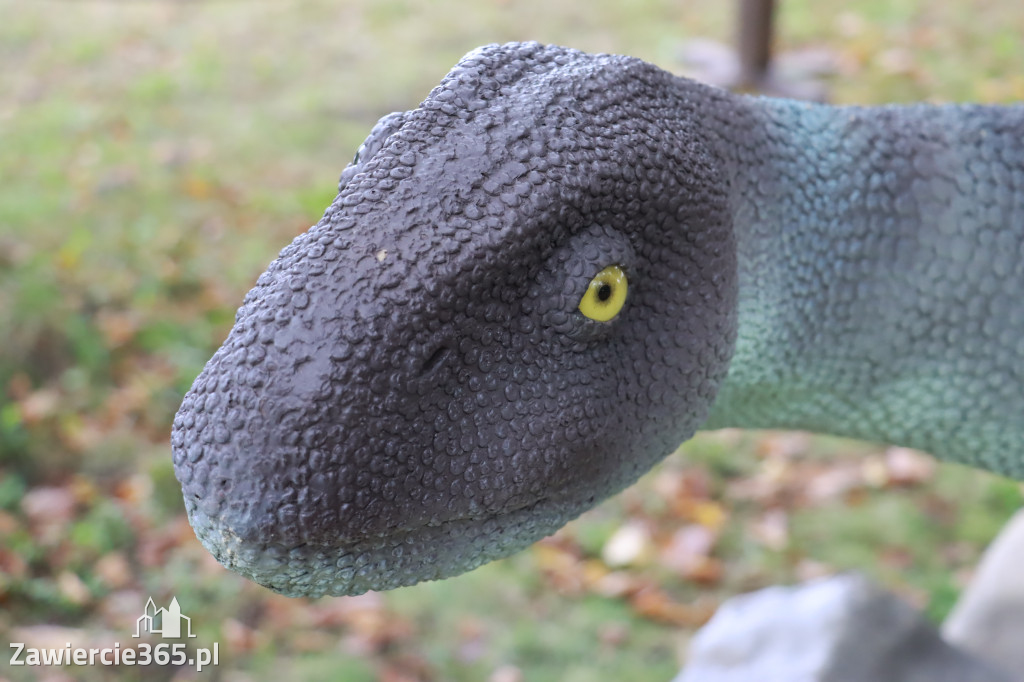 Wystawa Dinozaurów - Park Miejski Zawiercie