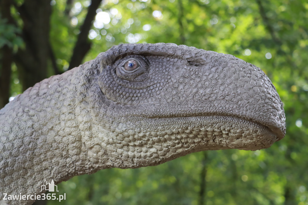 Wystawa Dinozaurów - Park Miejski Zawiercie