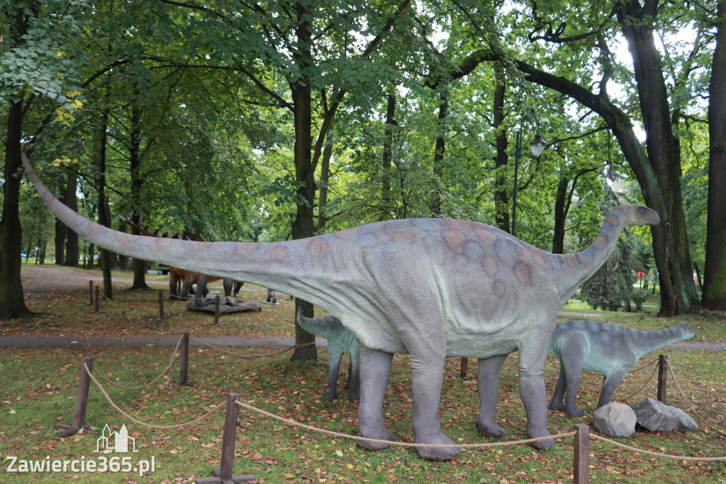 Wystawa Dinozaurów - Park Miejski Zawiercie
