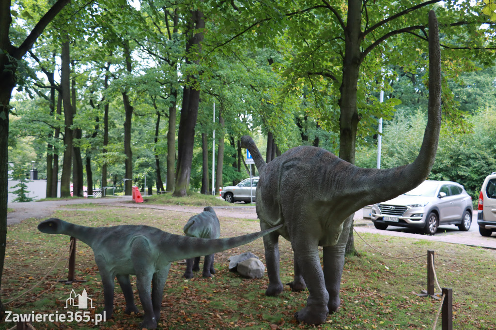 Wystawa Dinozaurów - Park Miejski Zawiercie