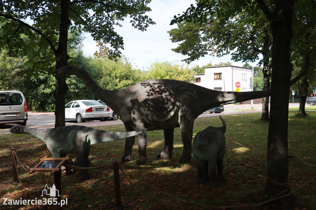 Wystawa Dinozaurów - Park Miejski Zawiercie
