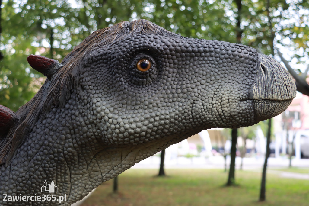 Wystawa Dinozaurów - Park Miejski Zawiercie