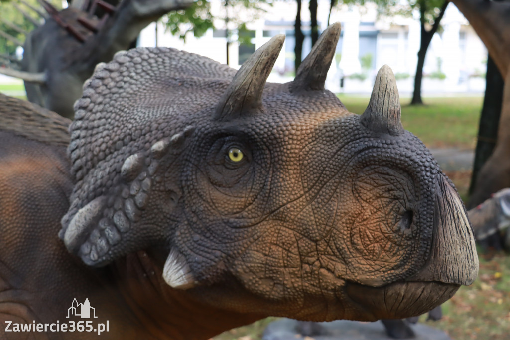 Wystawa Dinozaurów - Park Miejski Zawiercie