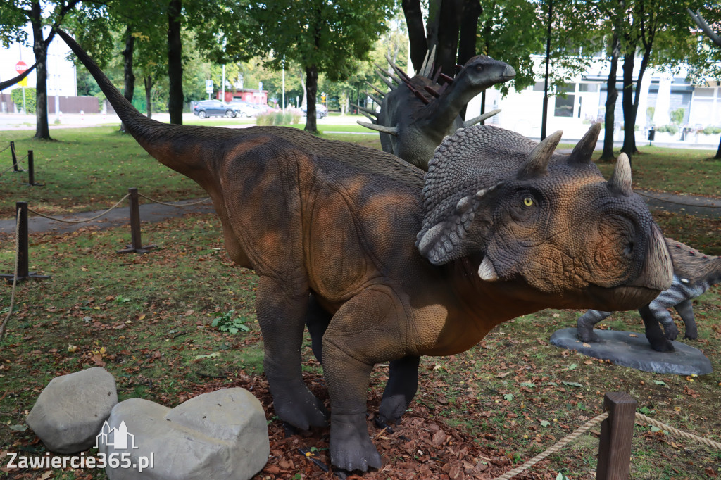 Wystawa Dinozaurów - Park Miejski Zawiercie
