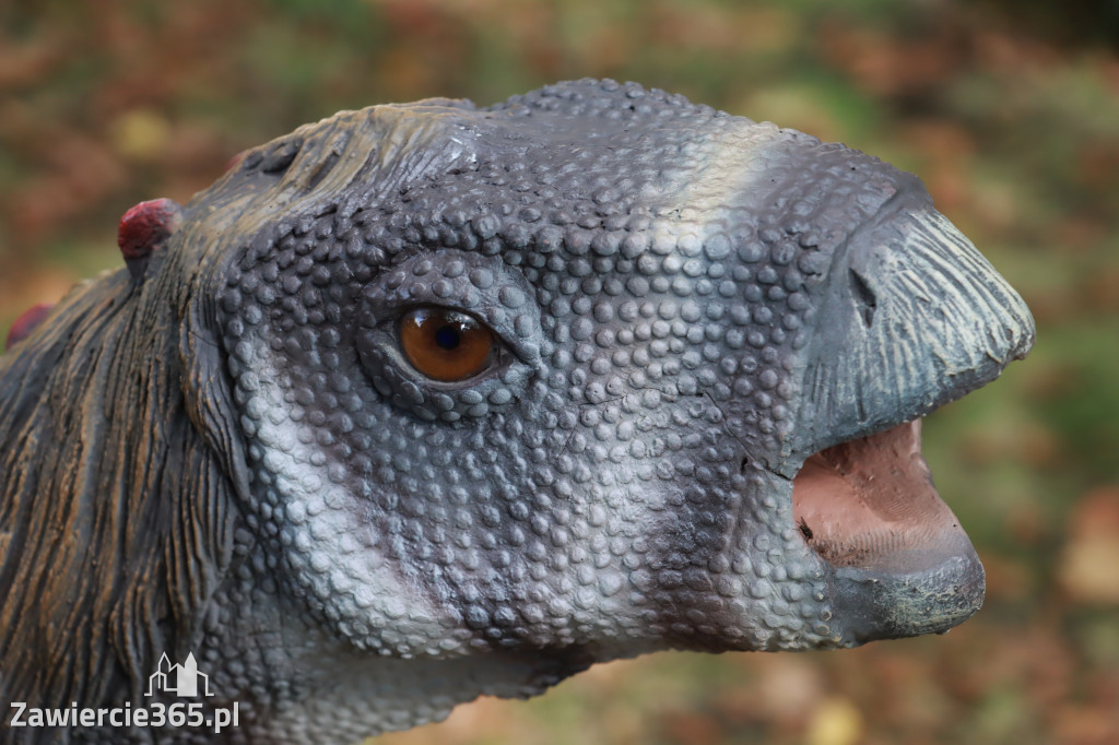 Wystawa Dinozaurów - Park Miejski Zawiercie