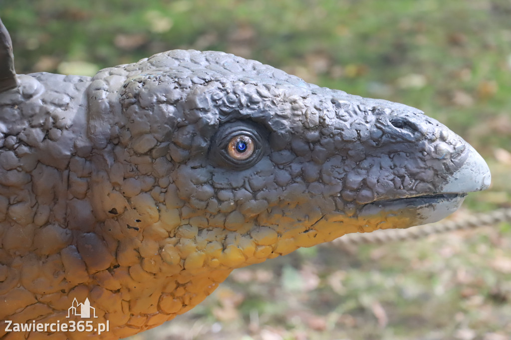 Wystawa Dinozaurów - Park Miejski Zawiercie