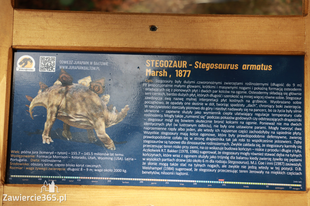 Wystawa Dinozaurów - Park Miejski Zawiercie