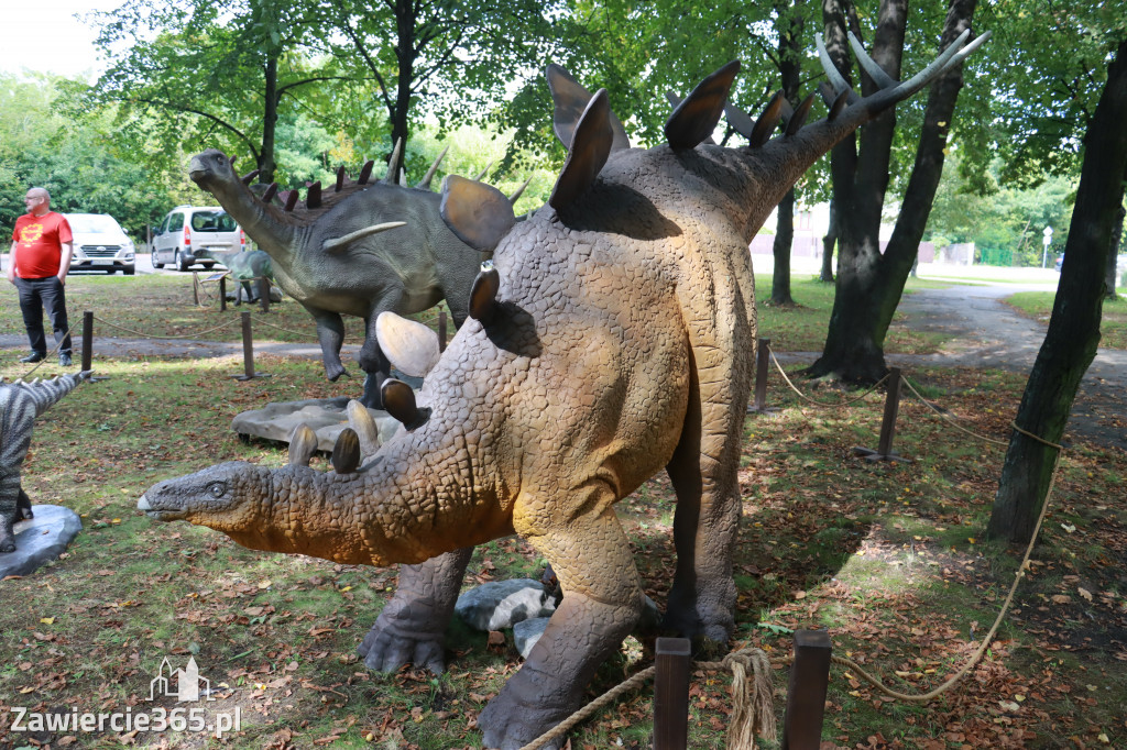 Wystawa Dinozaurów - Park Miejski Zawiercie