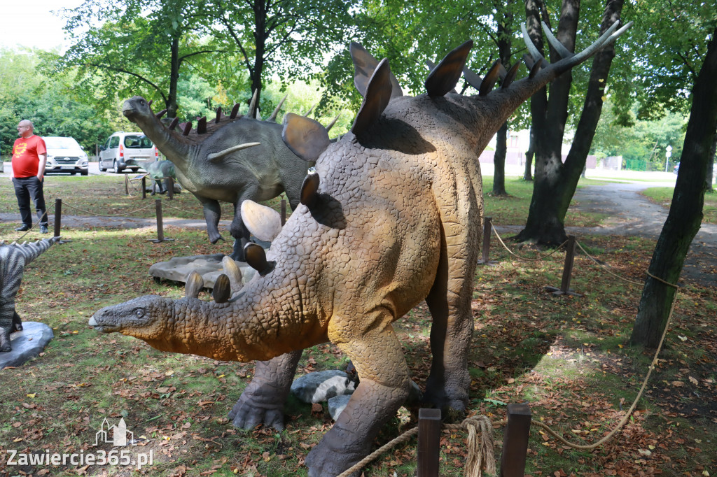 Wystawa Dinozaurów - Park Miejski Zawiercie